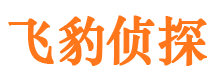 日照市场调查